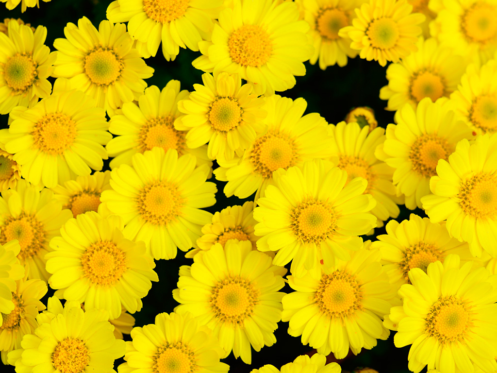 f:id:eng-check-service:20181021142913j:plain f:id:eng-check-service:20181021142913j:plain