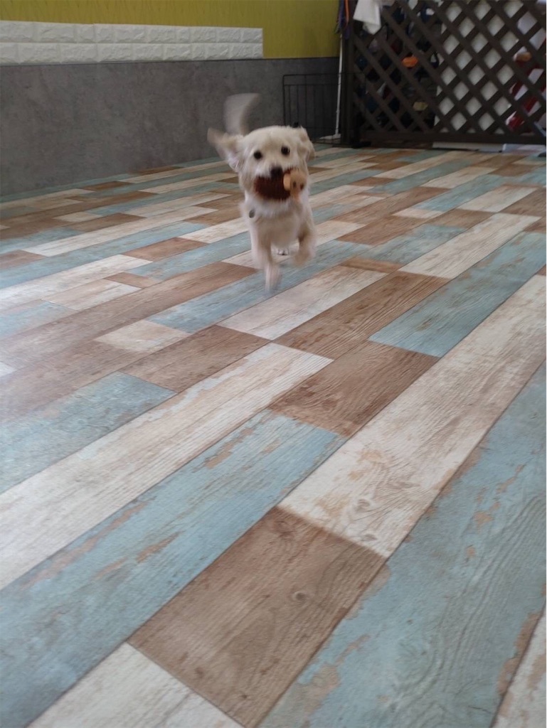 f:id:eng_kt:20220722213514j:image