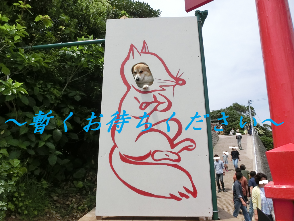 f:id:engawa3515:20170708105822p:plain