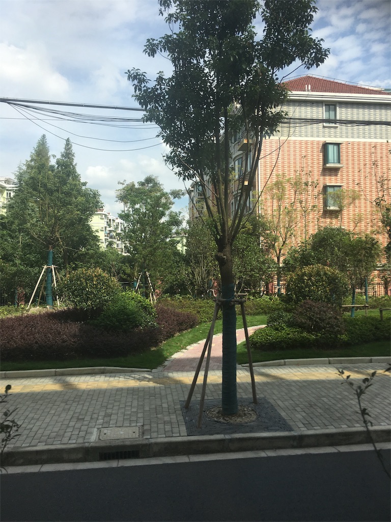 f:id:engawamilky45:20181004125316j:image