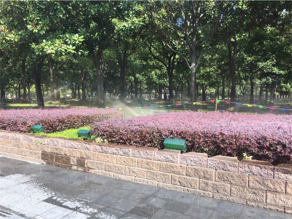 f:id:engawamilky45:20181009165059j:image