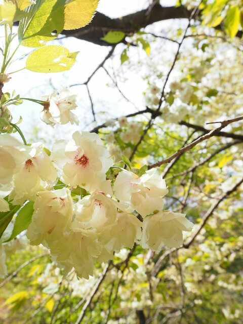 f:id:engineerwisemethod:20170424062329j:image f:id:engineerwisemethod:20170424062329j:image