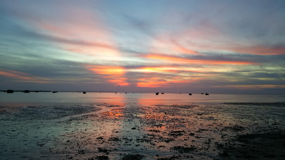 f:id:englandsea:20190705161403j:plain