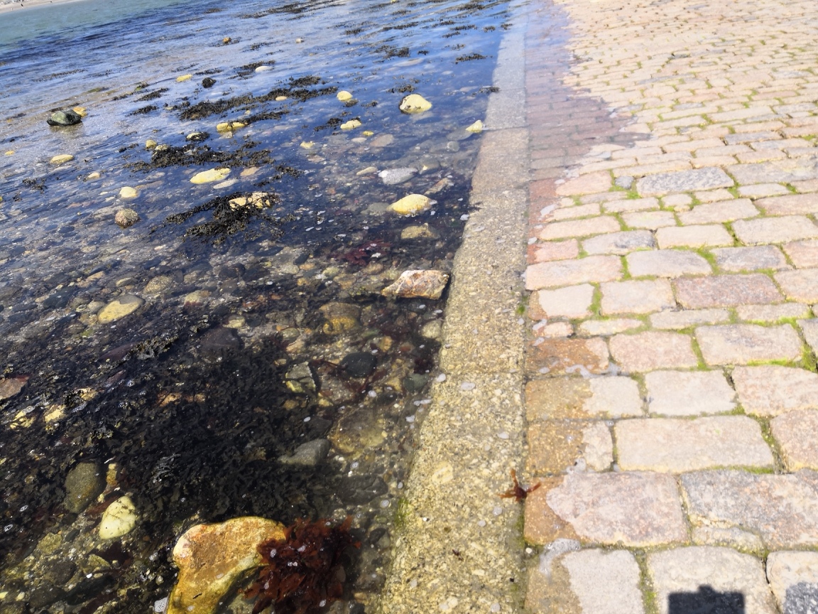 f:id:englandsea:20190803145842j:plain f:id:englandsea:20190803145842j:plain