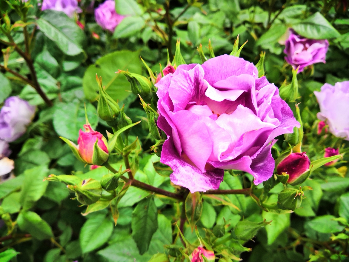 f:id:englandsea:20190816184708j:plain f:id:englandsea:20190816184708j:plain