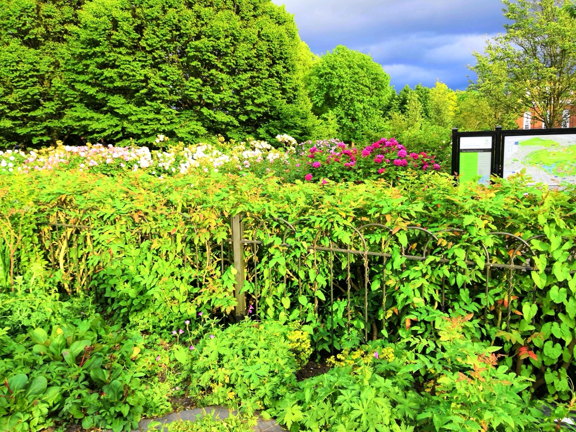 f:id:englandsea:20190817145205j:plain