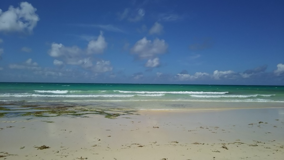 f:id:englandsea:20190929153622j:plain