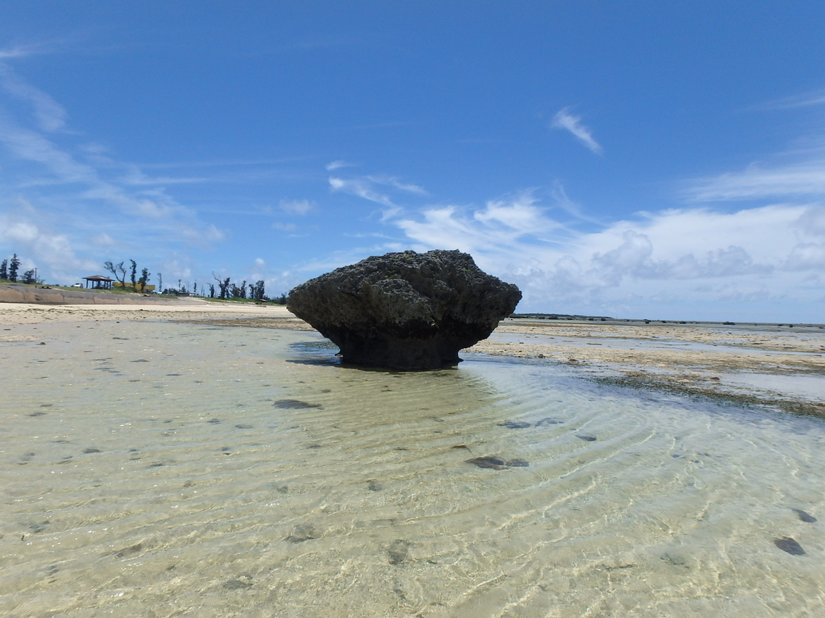 f:id:englandsea:20191002140802j:plain