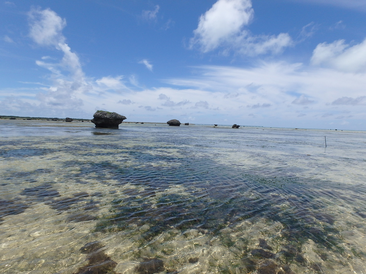 f:id:englandsea:20191002141053j:plain