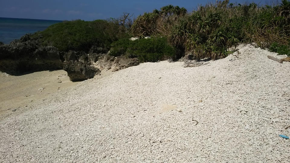 f:id:englandsea:20191014133757j:plain