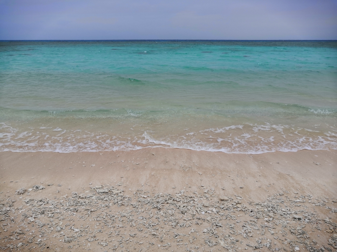 f:id:englandsea:20191125225327j:plain