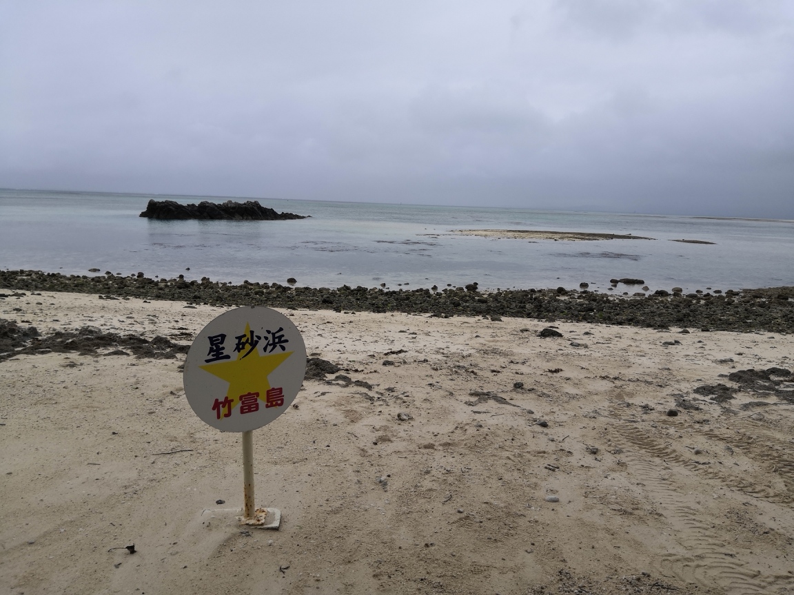 竹富島の赤瓦の屋根の家とその上のシーサーと水牛を見て散歩【偶然に