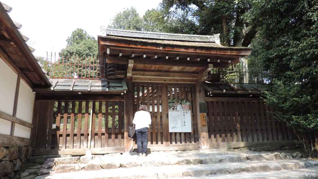 f:id:english_maf:20180817222605j:plain f:id:english_maf:20180817222605j:plain