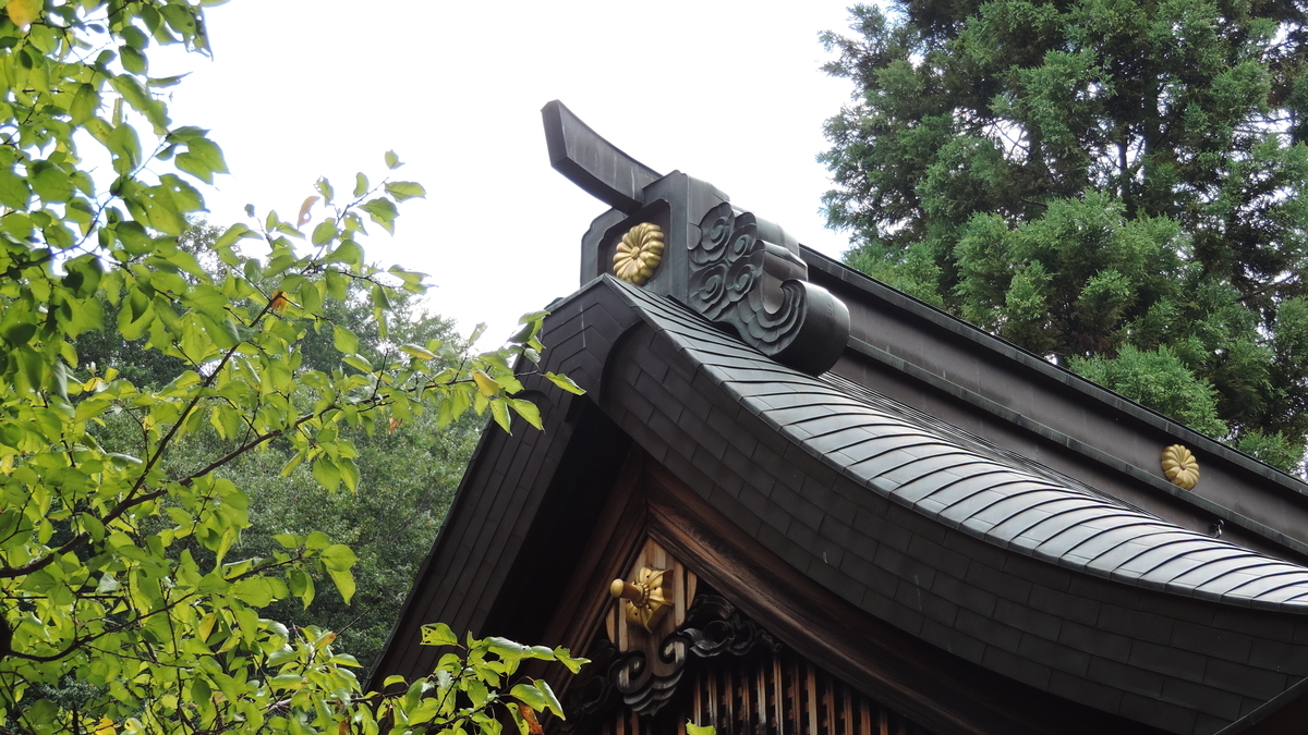 f:id:english_maf:20191019223837j:plain