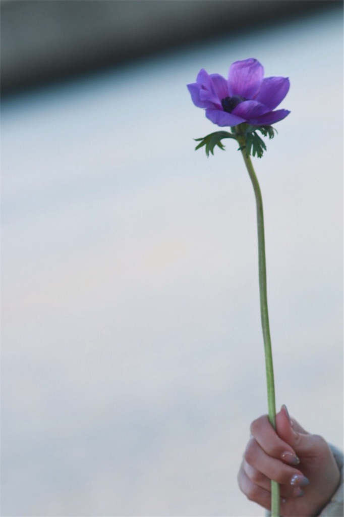 f:id:enigma33:20180121003920j:image