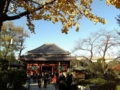 [tokyo][asakusa][東京][浅草]浅草寺