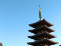 [tokyo][asakusa][東京][浅草]浅草寺