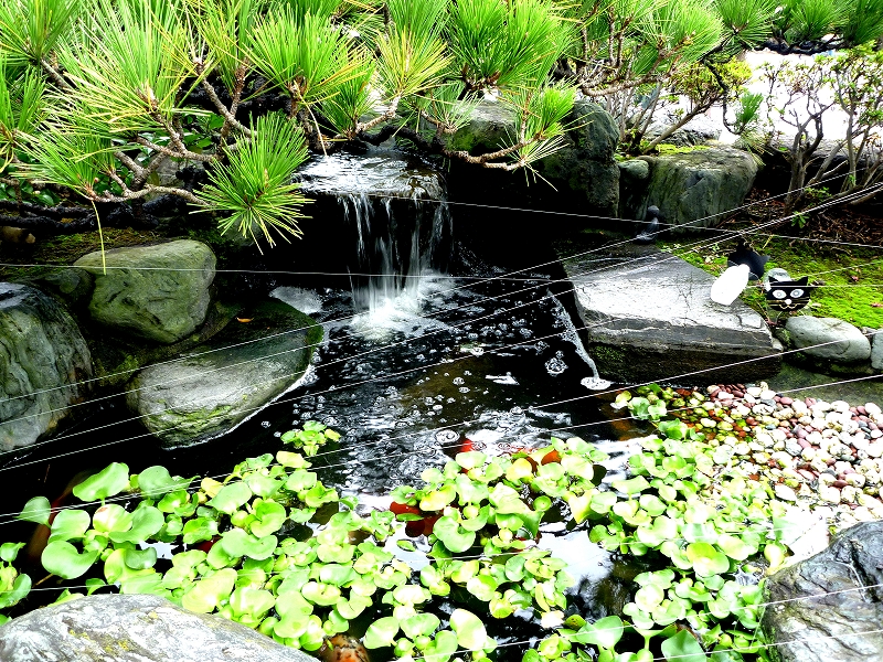 [kanagawa][kamakura][神奈川][鎌倉]