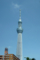 Tokyo Skytree (東京スカイツリー)