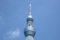 Tokyo Skytree (東京スカイツリー)