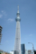 Tokyo Skytree (東京スカイツリー)