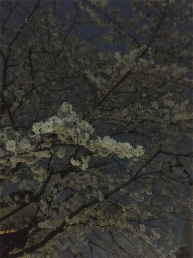 f:id:enimsaj2202:20240420081241j:image f:id:enimsaj2202:20240420081241j:image