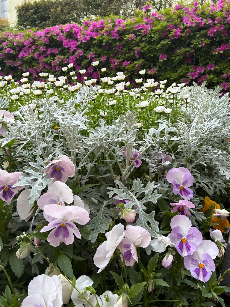 f:id:enimsaj2202:20260429075834j:image