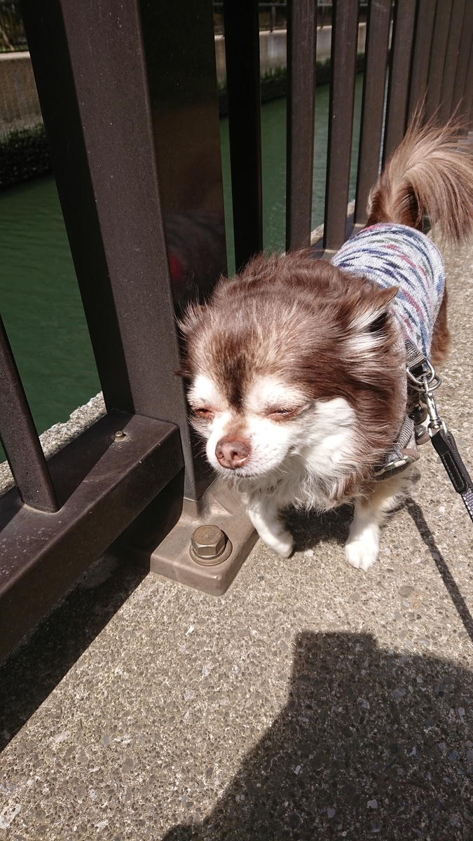 f:id:enishisoul:20190325140526j:plain