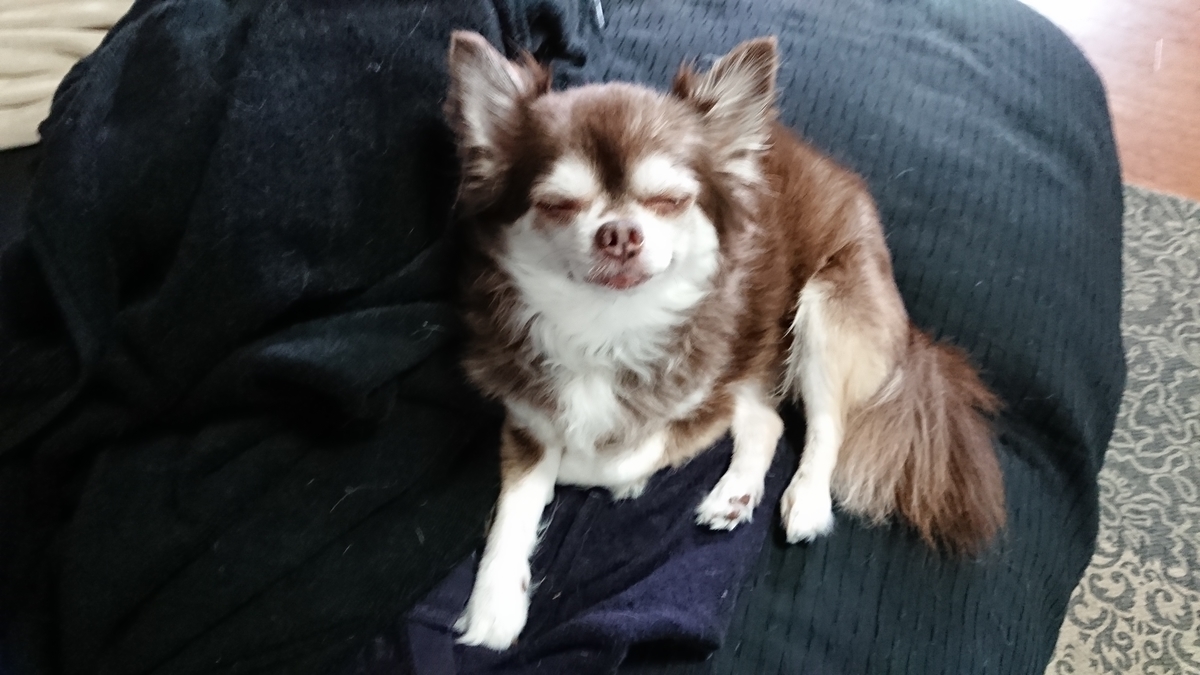 f:id:enishisoul:20190331105224j:plain