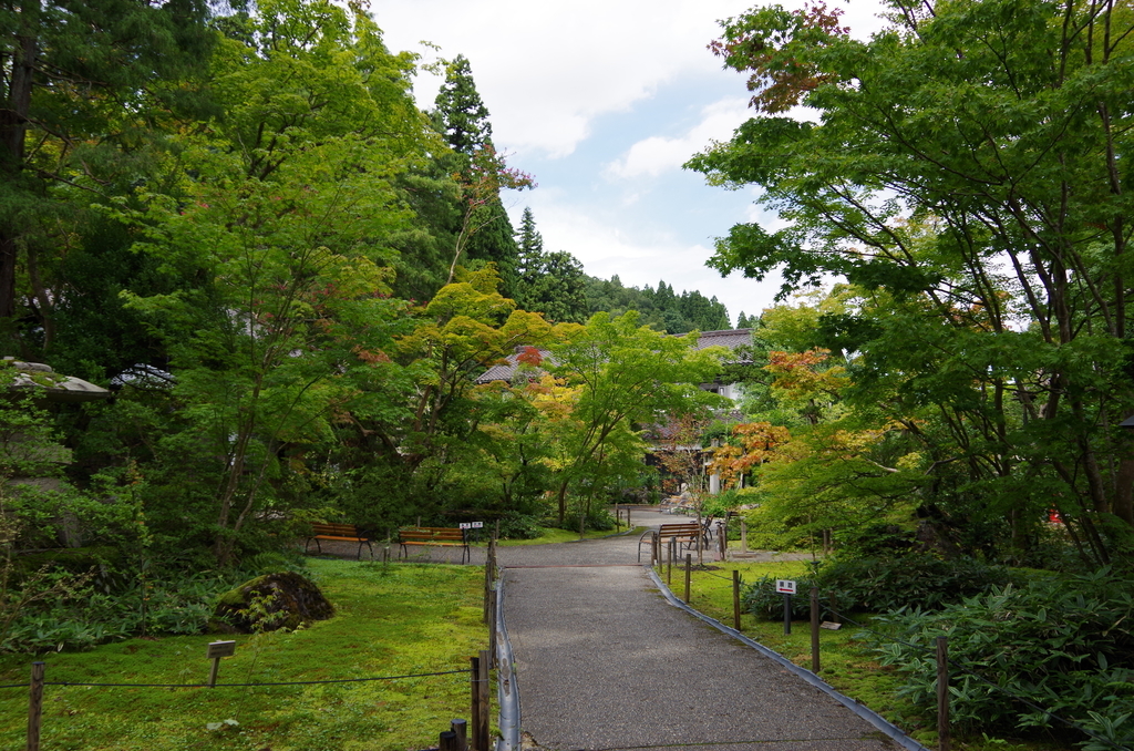 f:id:eniti:20180918120145j:plain