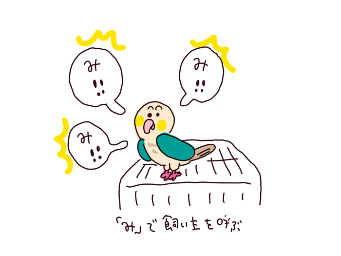 f:id:enizi:20210130182448j:plain