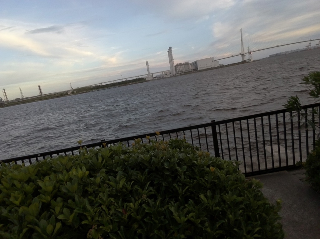 f:id:enjoy-eagle:20181113221034j:plain f:id:enjoy-eagle:20181113221034j:plain