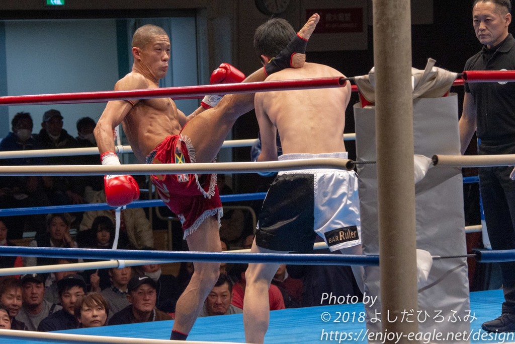 f:id:enjoy-eagle:20190106205301j:plain f:id:enjoy-eagle:20190106205301j:plain
