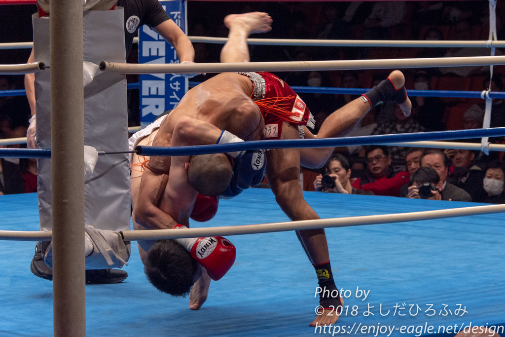 f:id:enjoy-eagle:20190106205306j:plain f:id:enjoy-eagle:20190106205306j:plain