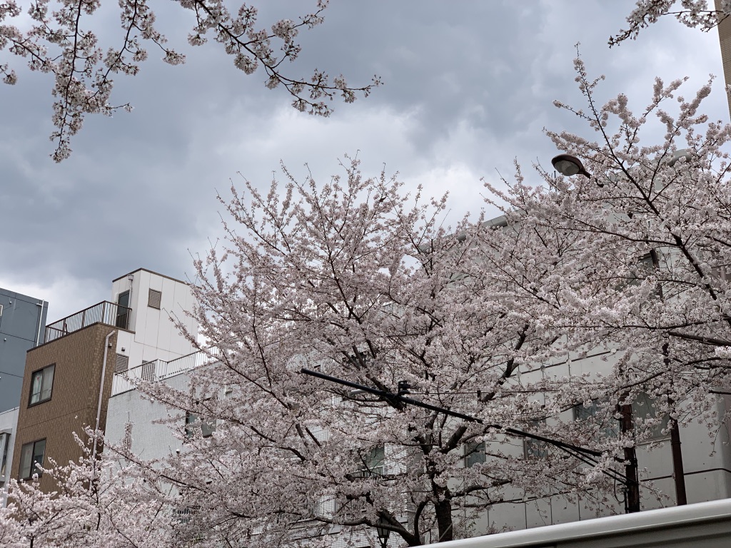 f:id:enjoy-eagle:20190406120436j:plain f:id:enjoy-eagle:20190406120436j:plain