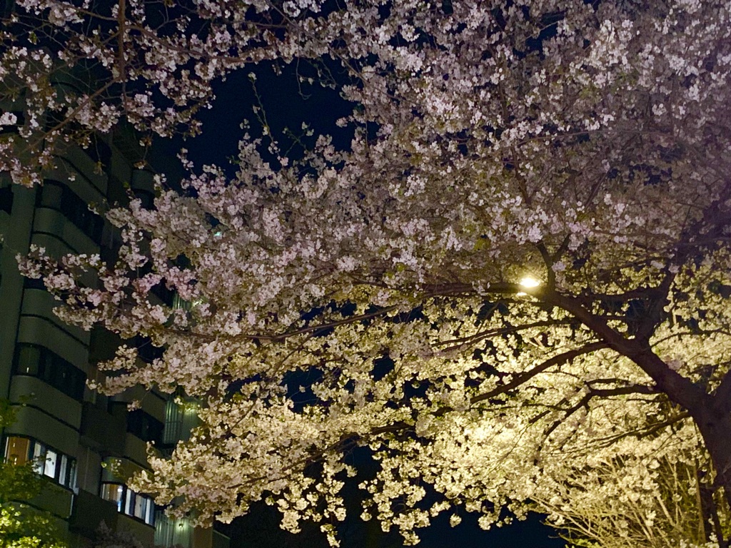 f:id:enjoy-eagle:20190406120444j:plain f:id:enjoy-eagle:20190406120444j:plain