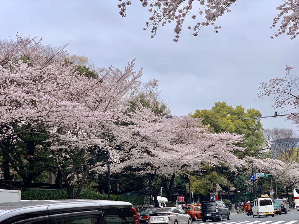 f:id:enjoy-eagle:20190406120448j:plain f:id:enjoy-eagle:20190406120448j:plain