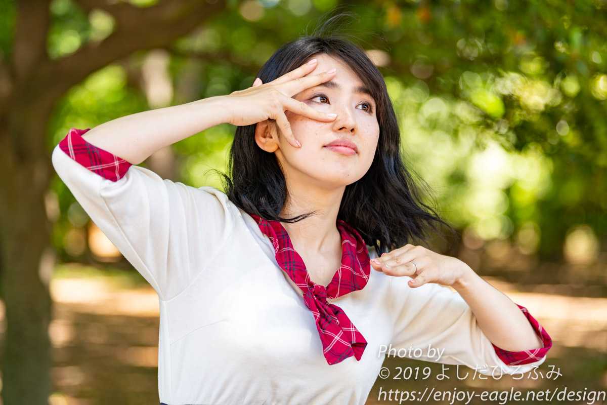 f:id:enjoy-eagle:20190525085155j:plain