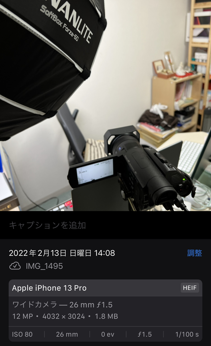 f:id:enjoy-eagle:20220214130012j:plain