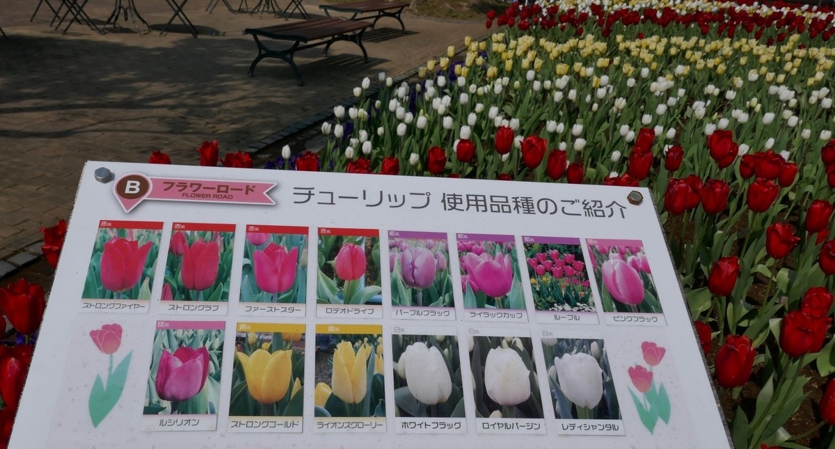 f:id:enjoy-now:20220325153205j:plain