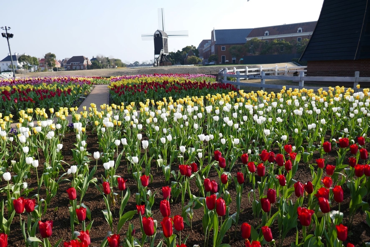 f:id:enjoy-now:20220325153717j:plain