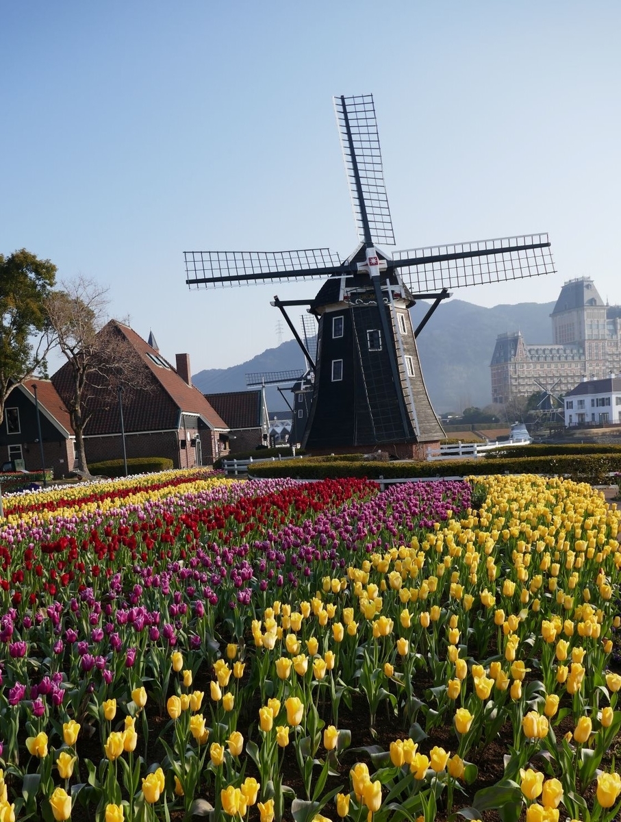 f:id:enjoy-now:20220325172841j:plain