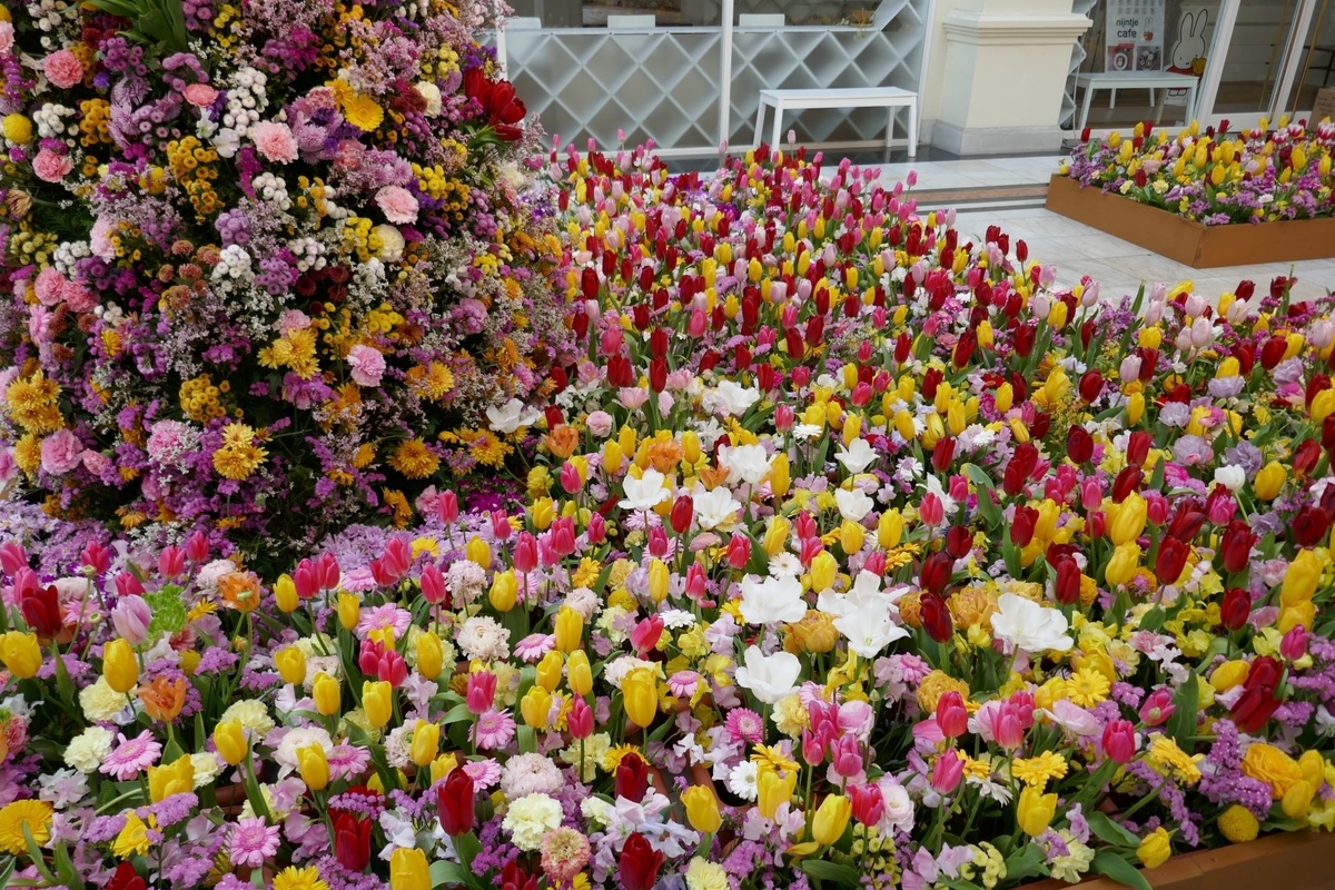 f:id:enjoy-now:20220325183536j:plain