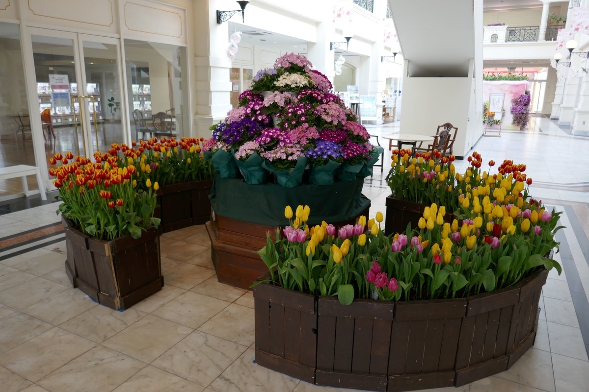 f:id:enjoy-now:20220325183552j:plain