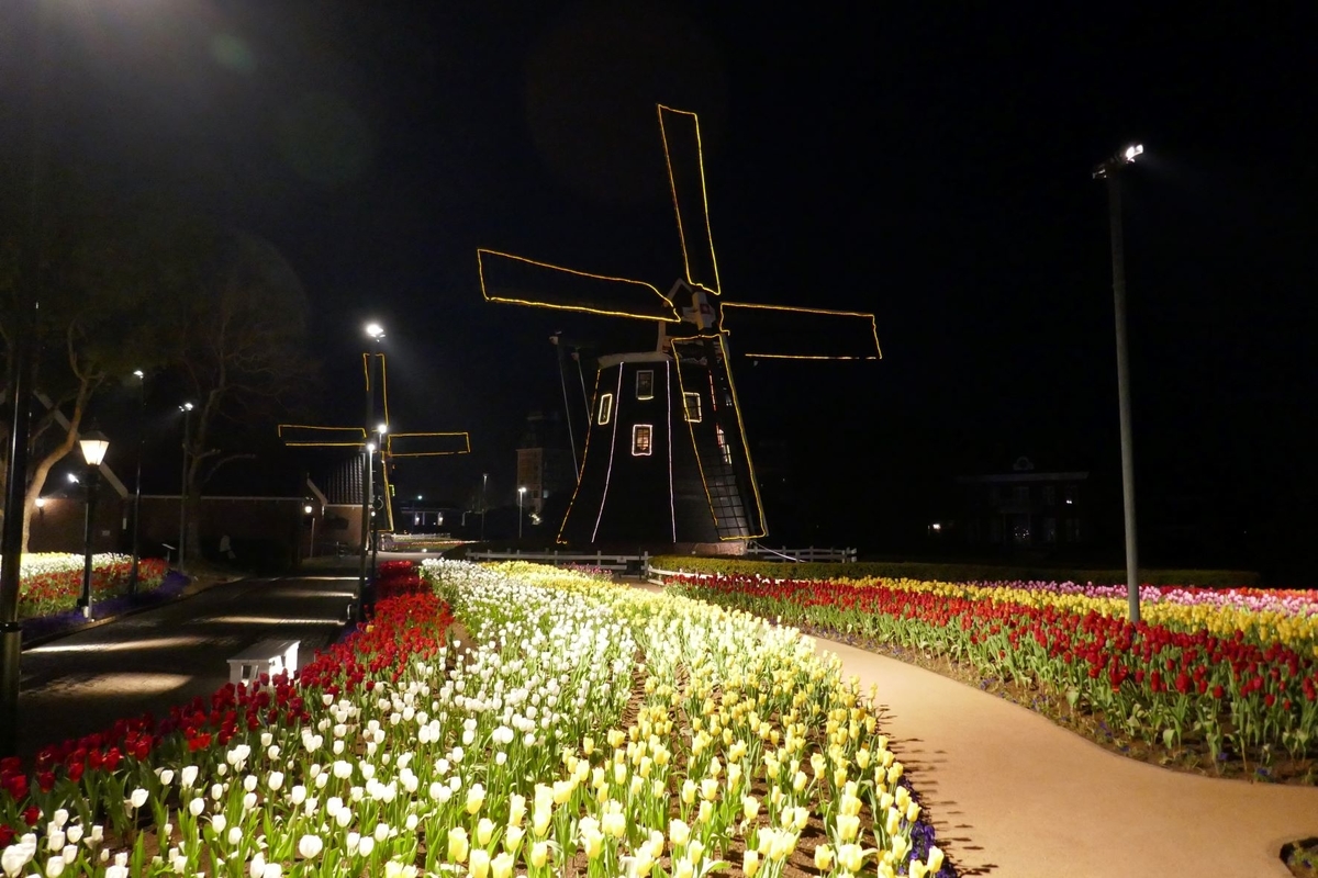 f:id:enjoy-now:20220325184047j:plain