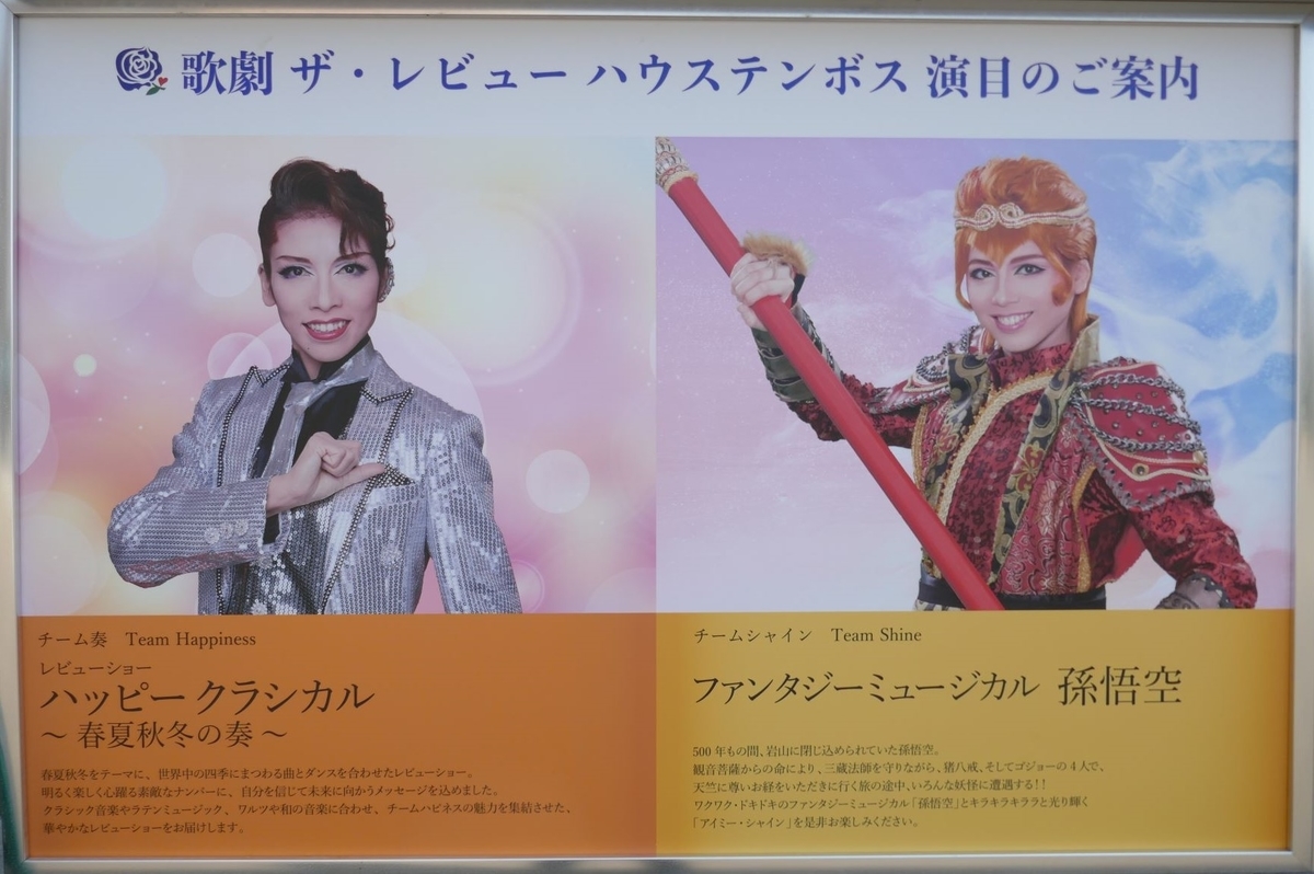 【専用のお品です】歌劇ザレビューハウステンボス　DVD5本セット 専用のお品です】歌劇ザレビューハウステンボス DVD5本セット