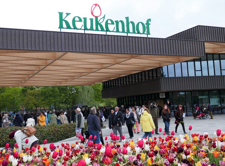 f:id:enjoy-now:20220330135934j:plain