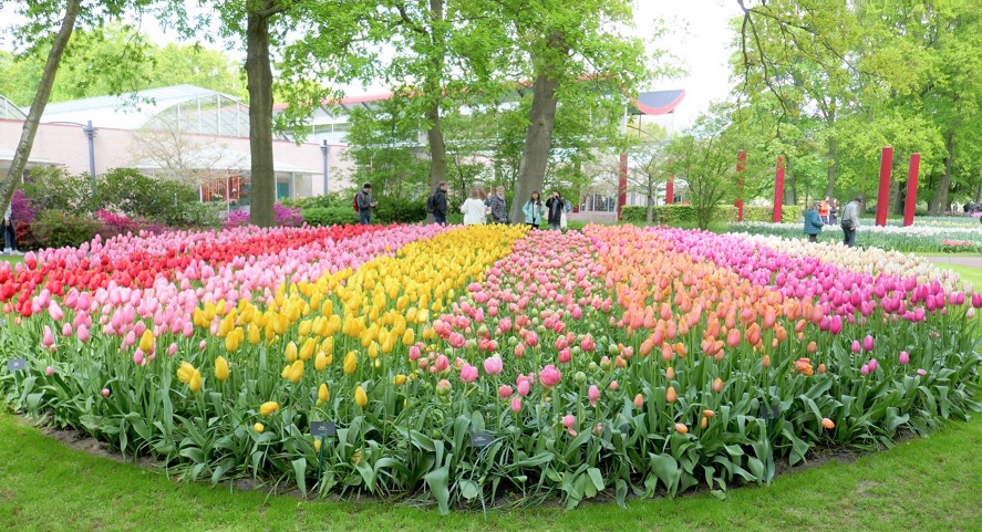 f:id:enjoy-now:20220330204818j:plain