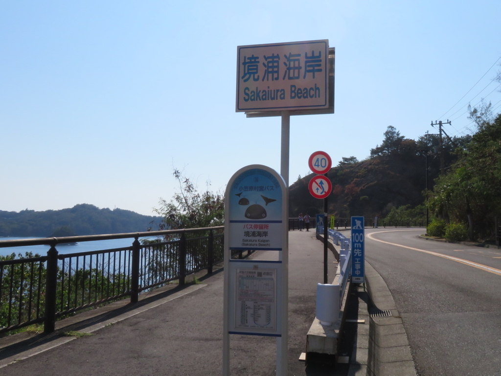 ぱしふぃっく びいなす 19 語りべマスオの父島歴史ガイドツアー 3日目 9 わくわくクルーズ えんじょいクルーズ クルーズ乗船記