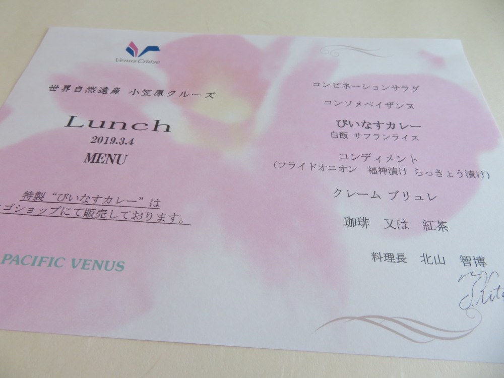 ぱしふぃっく びいなす 19 お昼はびいなすカレー 4日目 7 わくわくクルーズ えんじょいクルーズ クルーズ乗船記